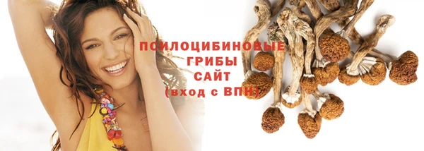 а пвп мука Алзамай