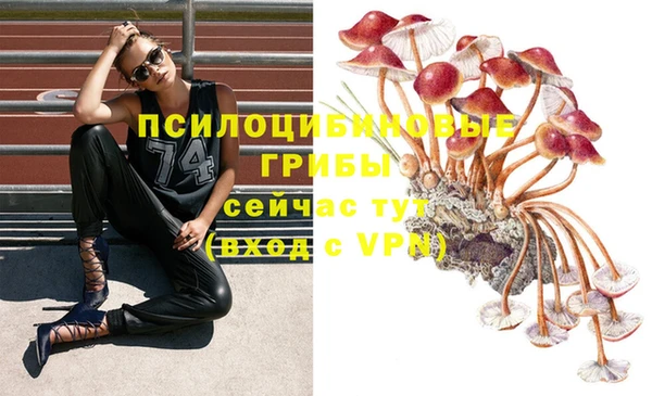 а пвп мука Алзамай